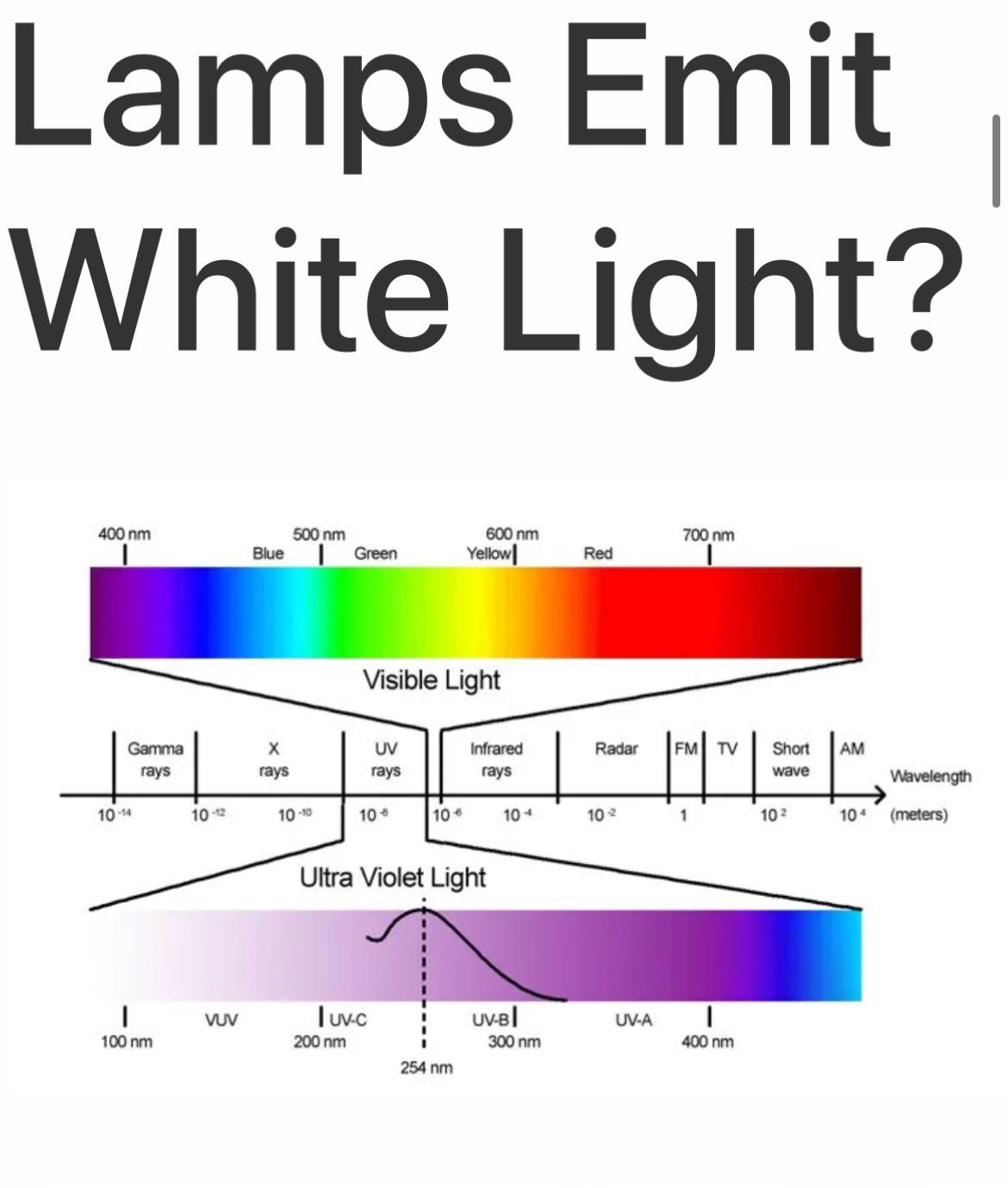 LED Wimpern Lampe + Komplettset inkl. Online Schulung – für LED/UV Wimpernkleber (neueste Generation)